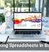 Rethinking Spreadsheets in Business